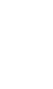 logo light